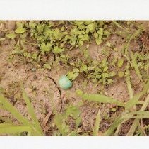 Image Omc 2021.002 (5)